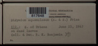 Image Associated With the Occurence